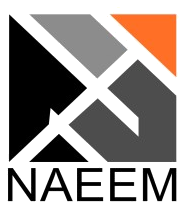 Naeem logo